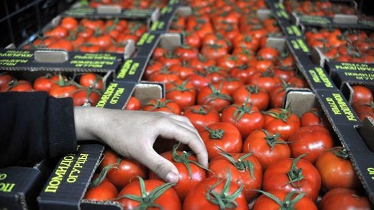 Türkiyeden Rusyaya domates için yeni teklif