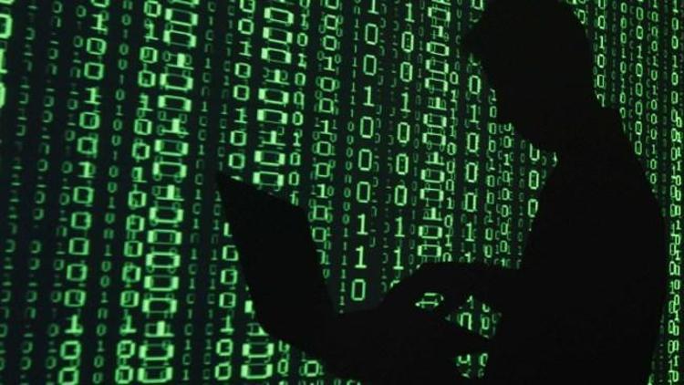 Türk hackerlardan Fitche tepki