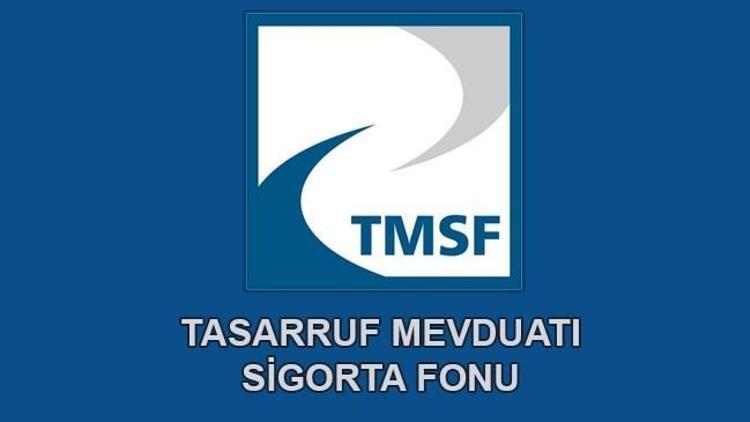 TMSF iki şirketi satışa çıkardı