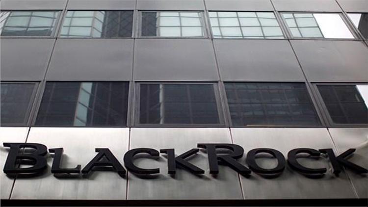 BlackRock hisselerde yükseliş bekliyor