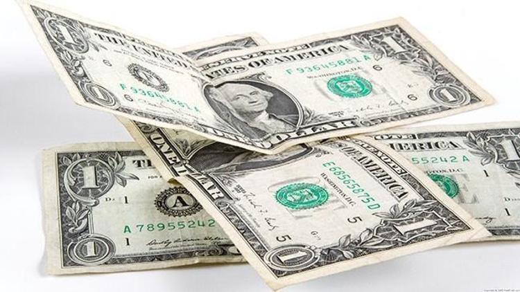Dolar 2,44 TLnin üzerini gördü