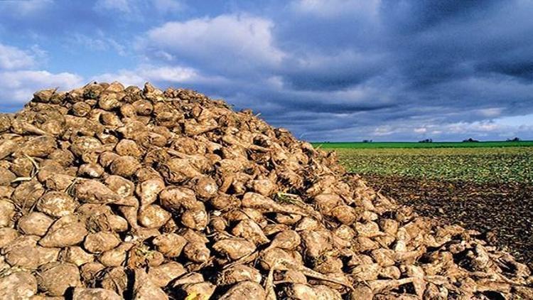 Pancar çiftçisinden kota isyanı