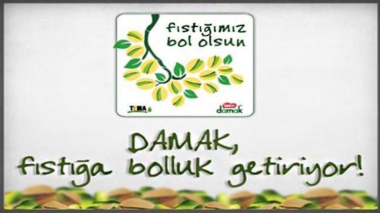 Fıstığımız bol oldu