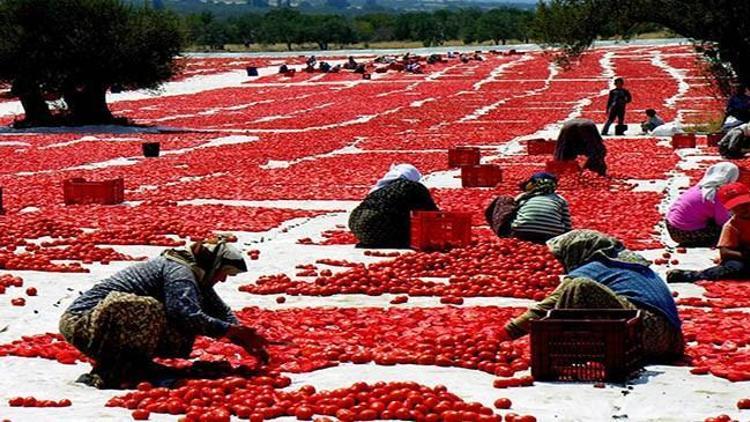 Türkiye, salça üretiminde dünya üçüncüsü