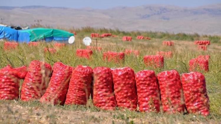 ‘Çiftçinin 3 milyar TL’lik borcu yapılandırılsın...’