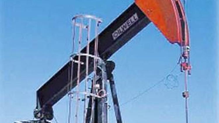 `Petrole alternatif arama zamanı geldi`