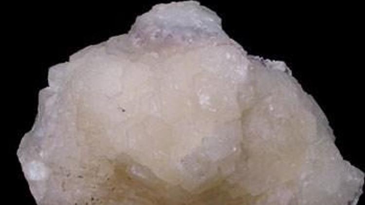 `21. yüzyılın beyaz altını olacak`