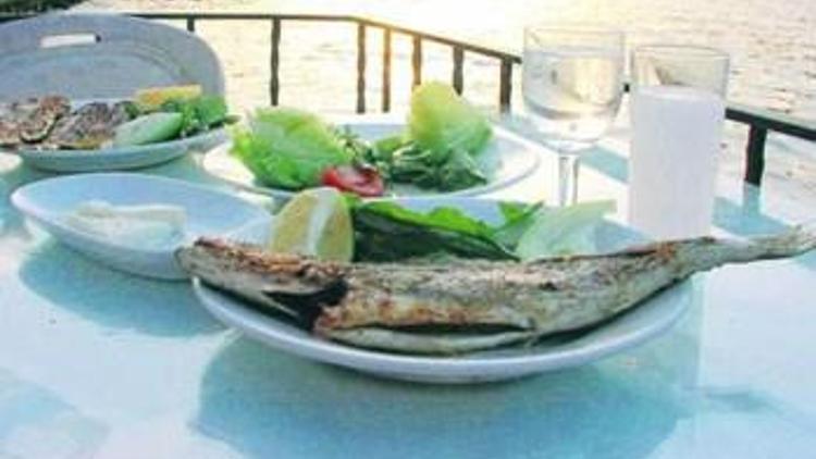 İngilizler Mey İçki’yi satın aldı