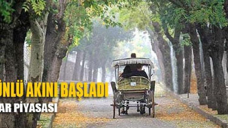 Ada`ya ünlü akını