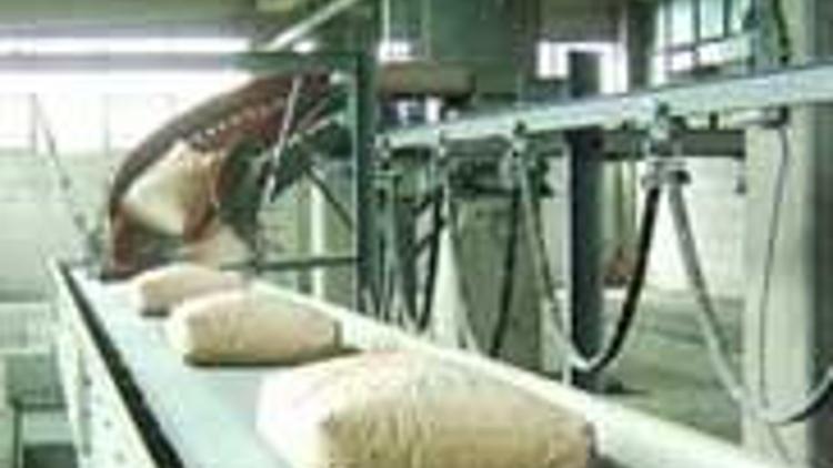 2008 yılı çimento üretimi 51 milyon 431 bin 889 ton 2008 yılı çimento üretimi 51 milyon 431 bin 889 ton