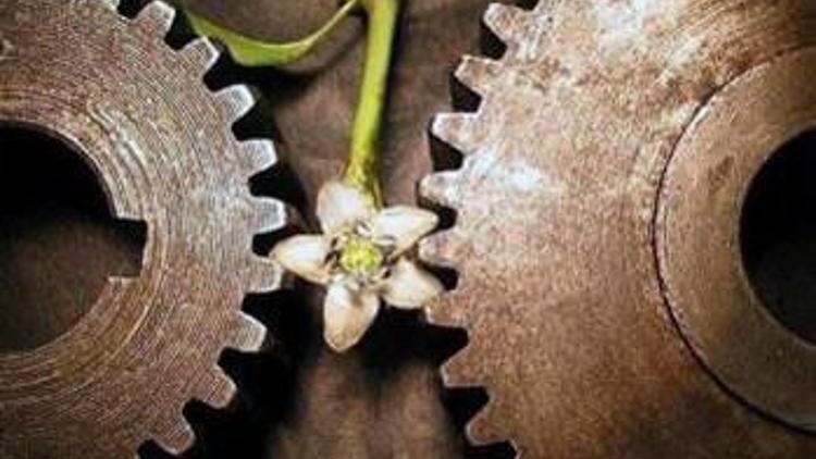 50 şirket 35 bin kişiyi işe alacak