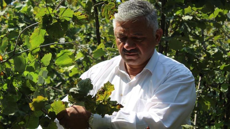 TZOB Yönetim Kurulu Üyesi Soydan: Kavherengi kokarcada kışlak mücadelesi yapılması gerekiyor