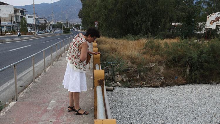 Yunanistanda binlerce ölü balık paniği: OHAL ilan edildi