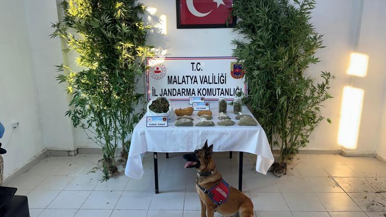 Malatyada uyuşturucu operasyonunda 1 zanlı yakalandı