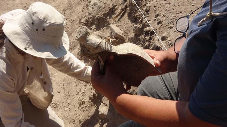 Apollon Smintheusta 1700 yıllık kalıntılar, şehrin geçmişine ışık tutuyor