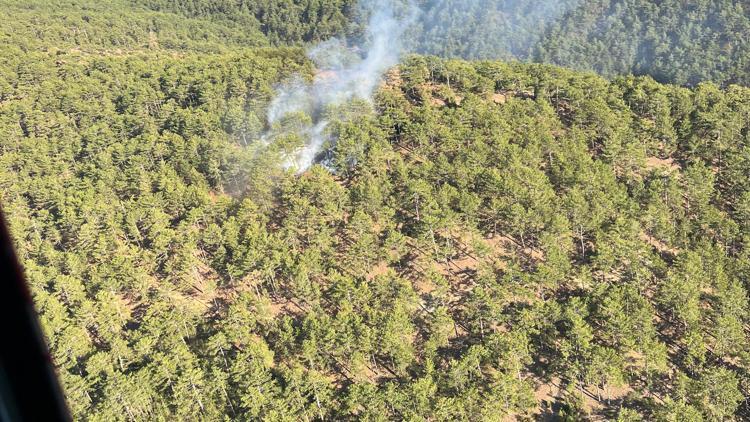 Kütahyadaki orman yangını 1 saatte söndürüldü