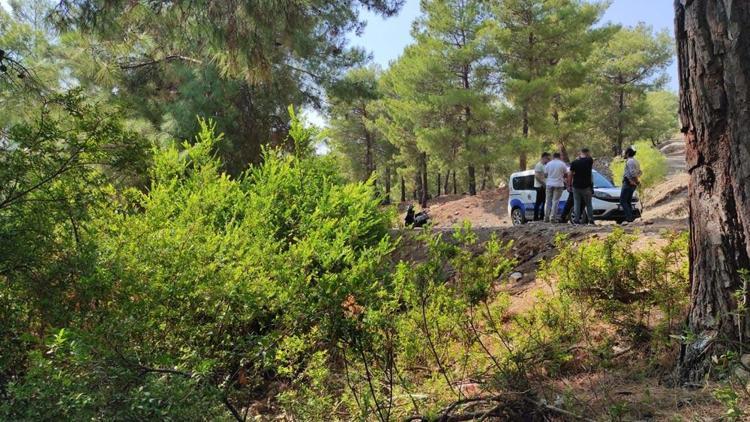 Fethiyede ormanda terk edilmiş bebek bulundu