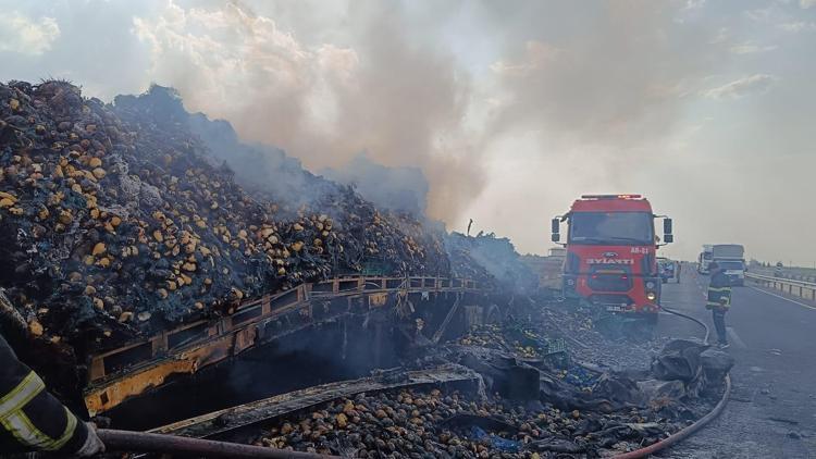 Mardin’de armut yüklü TIR, alev alarak yandı