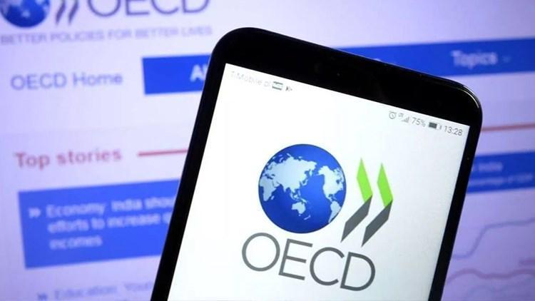 OECDden İngiltere yorumu