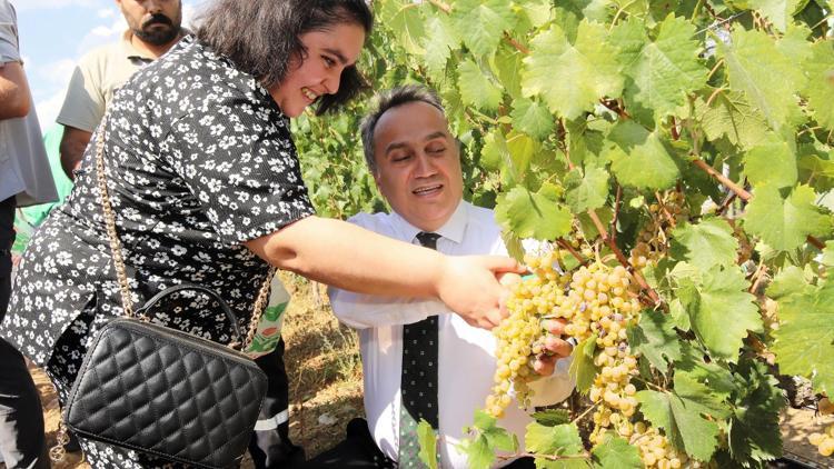 TOGÜde bağ bozumu gerçekleştirildi