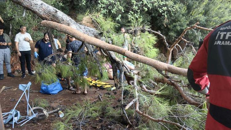 Muğlada kuvvetli rüzgarda ağaç devrildi: 3 yaralı