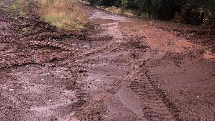 Bitlisin Ahlat ilçesinde sağanak sele neden oldu