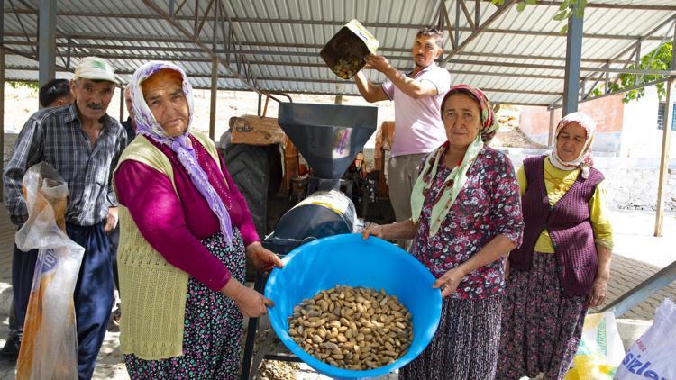 Büyükşehir’in badem soyma makinesi desteğiyle hasat zamanı