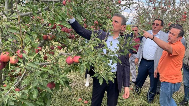 Ispartada dolunun vurduğu elma bahçelerinde hasar tespiti