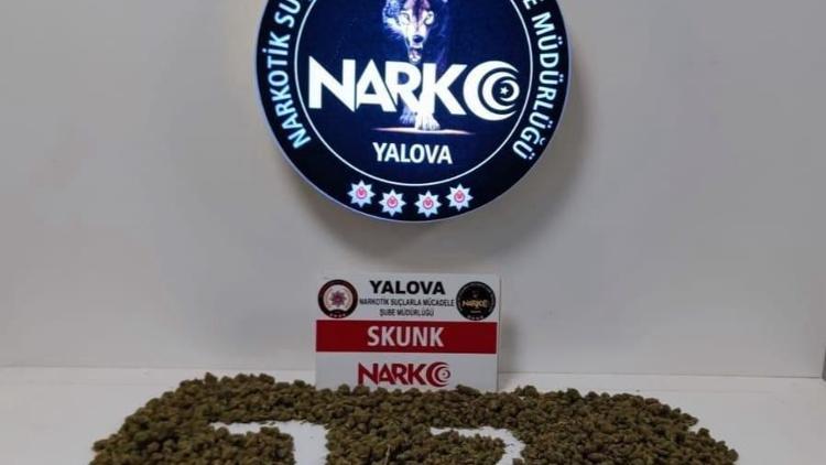 Yalova’daki operasyonda 800 gram skunk ele geçirildi, 2 şüpheli tutuklandı