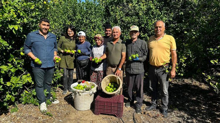 Limonun ihracat yolculuğu başladı