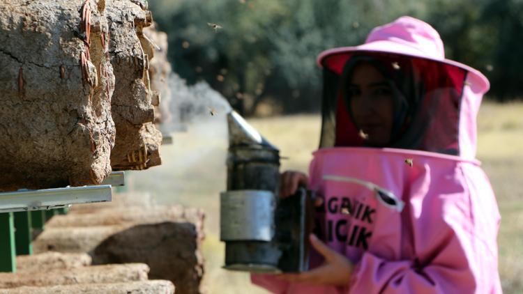 Pembe maskeli kadınlar bal hasadına başladı