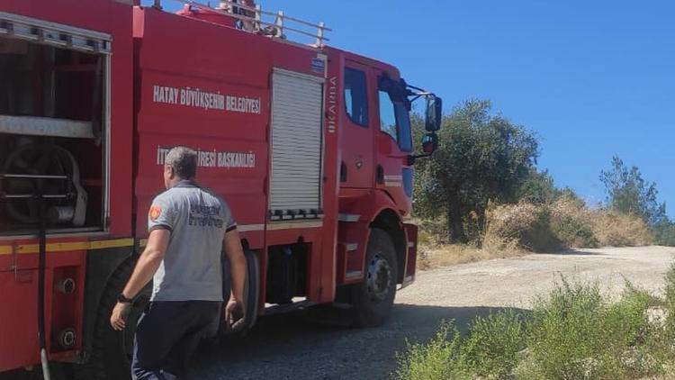 Hatay’da 5 hektarlık zeytinlik alanda yangın