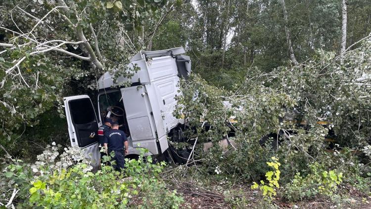 TIR, ağaca çarptı; sıkışan şoförü itfaiyeye kurtardı