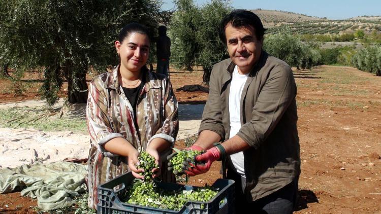 Kiliste, hasadı yapılan zeytinlerin soğuk sıkım yağ üretimine başlandı