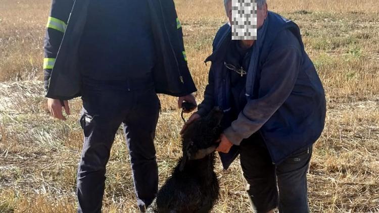 Su kuyusuna düşen av köpeğini itfaiye kurtardı