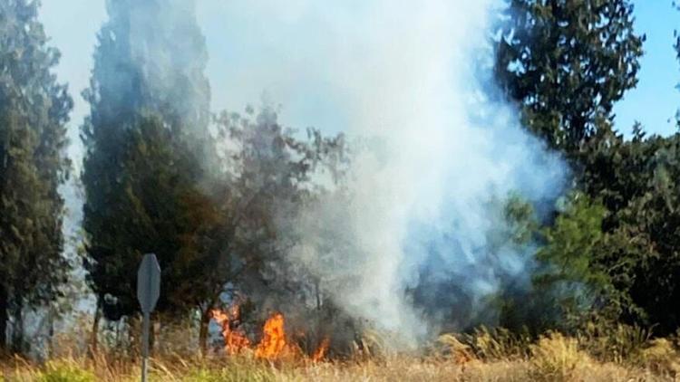 Yatağanda çıkan orman yangını, büyümeden söndürüldü