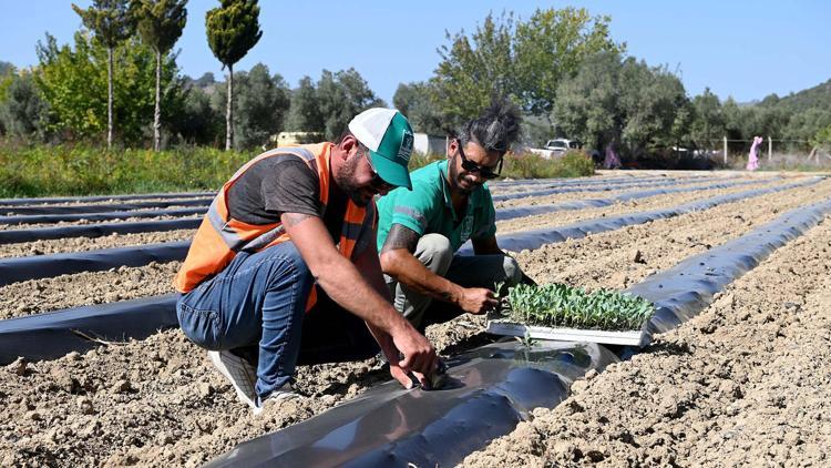 Adabahçe bu kış da sofralara lezzet ve bereket katacak