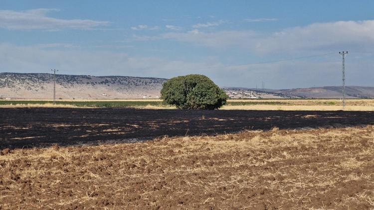 Diyarbakırda anız yangınında 70 dönümlük arazi zarar gördü