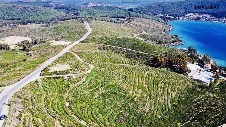 Orman Genel Müdürlüğünden Bodrum’daki yangın bölgelerine ilişkin açıklama