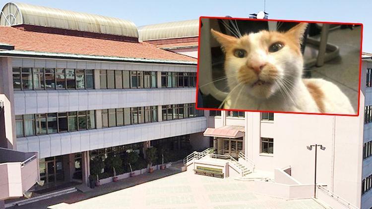 Kedi Faruk davasında gözetmenin 3 yıl hapsi istendi