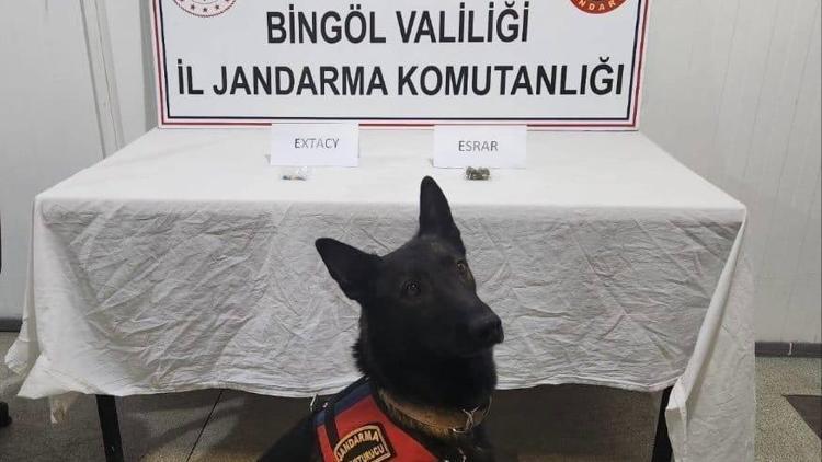 Bingöl’de aranan 2 şüpheli yakalandı