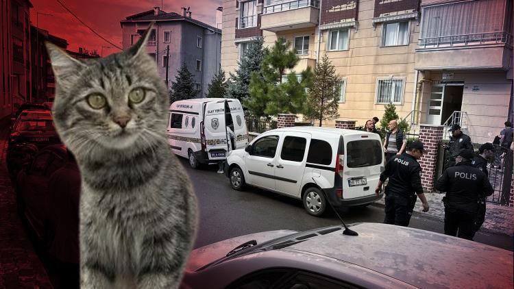 82 yaşındaki emekli öğretmen dehşet saçtı: Kedi kavgasında 1 kişi hayatını kaybetti