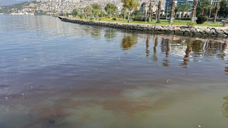 İzmir Körfezindeki kirlilik, sediment yapısını da bozdu