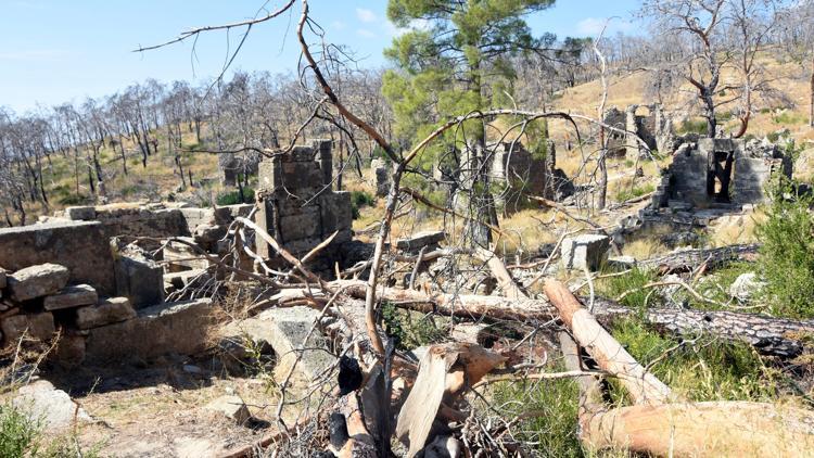 Büyük Manavgat yangınında zarar gören ağaçlar, antik yapıların üzerine devrildi