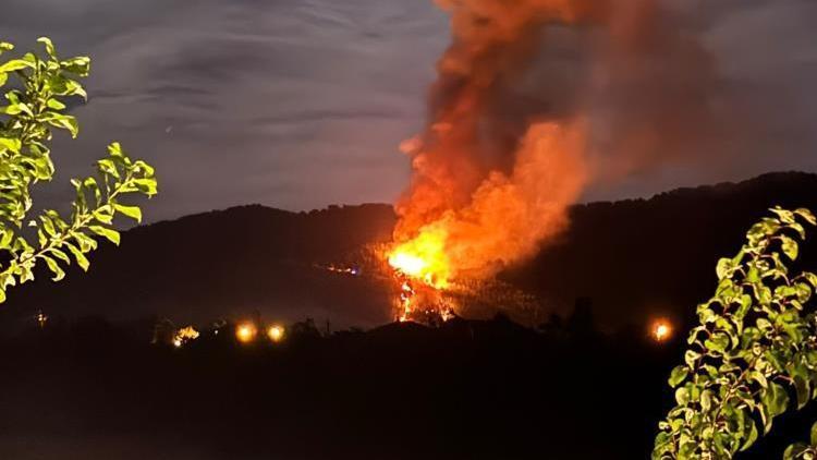 Ortacada orman yangını