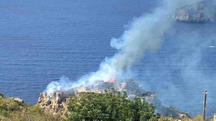 Gazipaşada makilik yangını