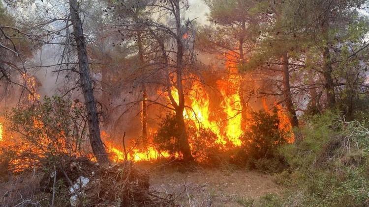 Çanakkale Lapseki’deki orman yangını kontrol altına alındı