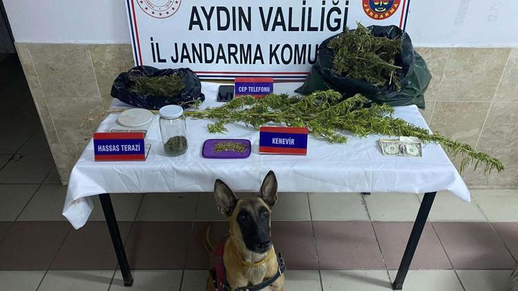 Evinden 3 kilogram esrarla yakalandı