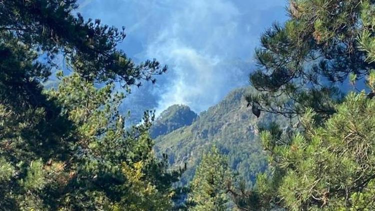 Hatay Dörtyolda orman yangını: Havadan ve karadan müdahale ediliyor