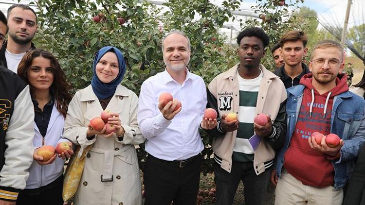 Kampüsten 200 ton elma topladılar